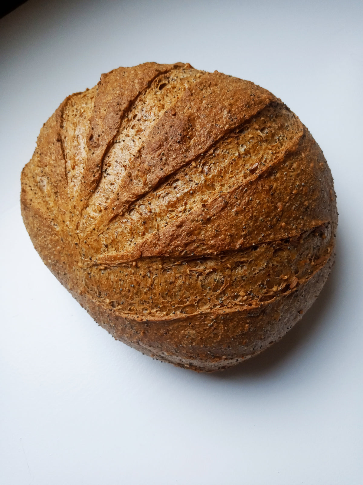 Italian Olive Oil Bread