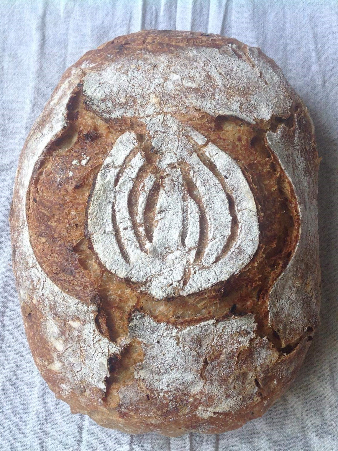 Caramelized Onion Sourdough